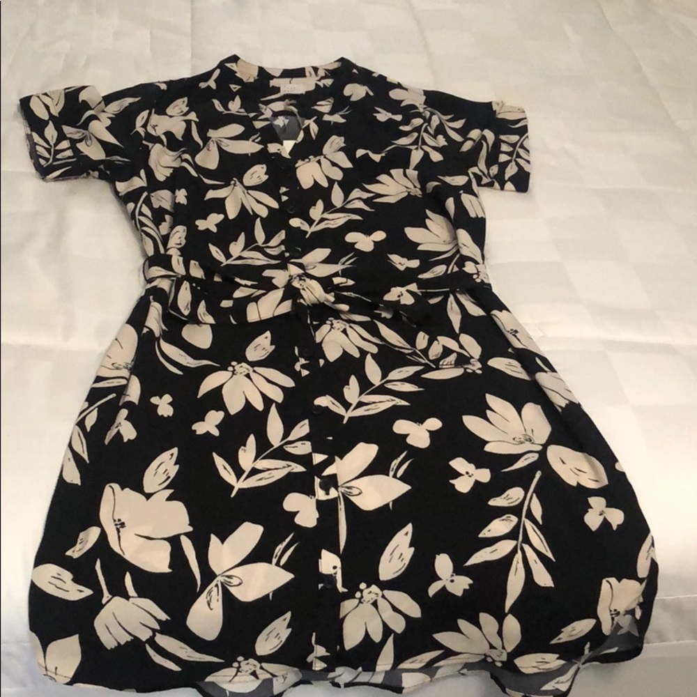 Button up dress